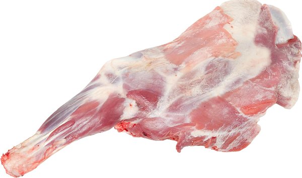 Нога дикого кабана передняя