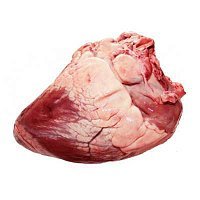 Сердце лося