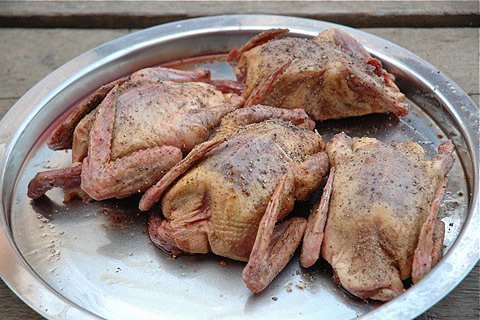 Тушка голубя. Тушка голубя. Тушка голубя. Тушка голубя и тушка перепелки. Жареный голубь.