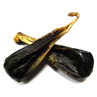 Медвежья желчь